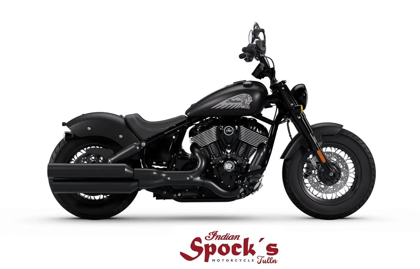 Indian Chief Zwart - 2