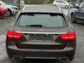 Mercedes-Benz C 350 C T-Modell C 350 T e Braun - thumbnail 7