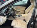 Mercedes-Benz C 350 C T-Modell C 350 T e Braun - thumbnail 10