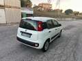 Fiat Panda Panda 1.2 Easy Bianco - thumbnail 6