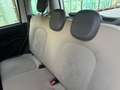 Fiat Panda Panda 1.2 Easy Bianco - thumbnail 9