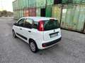 Fiat Panda Panda 1.2 Easy Bianco - thumbnail 8