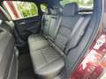 Nissan Qashqai MY22 1.3 DIG-T MHEV 158 PS Xtronic 4x4 Tekna+ 20' - thumbnail 14