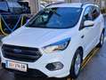 Ford Kuga Kuga 1,5 TDCi ST-Line Start/Stop ST-Line Weiß - thumbnail 4
