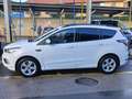 Ford Kuga Kuga 1,5 TDCi ST-Line Start/Stop ST-Line Weiß - thumbnail 1