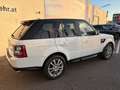 Land Rover Range Rover Sport 3,0 TdV6 HSE DPF Weiß - thumbnail 4