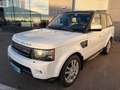 Land Rover Range Rover Sport 3,0 TdV6 HSE DPF Weiß - thumbnail 7