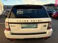 Land Rover Range Rover Sport 3,0 TdV6 HSE DPF Weiß - thumbnail 6