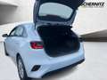 Kia Ceed / cee'd Ceed 1.5 T-GDI Vision *Kamera*Navi*Sitzheizung* Weiß - thumbnail 5