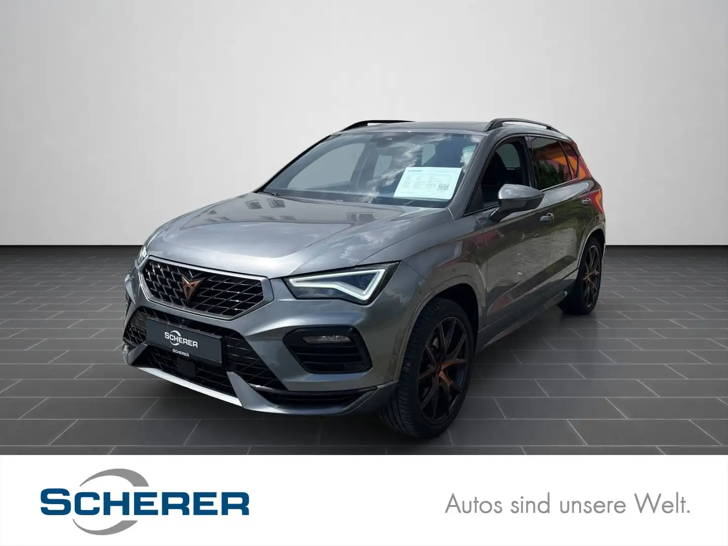 CUPRA Ateca 2.0 TSI / 360°Kamera / Navi / Pano/ uvm Grau - 1