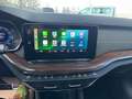 Skoda Octavia Scout 4x4 LED HUD SHZ MULTI APP 18 ZOLL AHV VIRTUE Blau - thumbnail 19