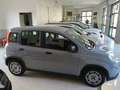 Fiat Panda Panda III 2021 1.0 firefly hybrid s Grigio - thumbnail 3