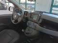Fiat Panda Panda III 2021 1.0 firefly hybrid s Grigio - thumbnail 11