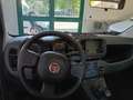 Fiat Panda Panda III 2021 1.0 firefly hybrid s Grigio - thumbnail 9