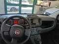 Fiat Panda Panda III 2021 1.0 firefly hybrid s Grigio - thumbnail 5