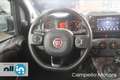 Fiat Panda Panda 1.0 70cv Hybrid Cross MY24 Verde - thumbnail 8