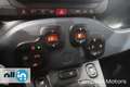 Fiat Panda Panda 1.0 70cv Hybrid Cross MY24 Verde - thumbnail 11