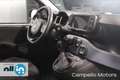 Fiat Panda Panda 1.0 70cv Hybrid Cross MY24 Verde - thumbnail 13