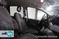 Fiat Panda Panda 1.0 70cv Hybrid Cross MY24 Verde - thumbnail 14