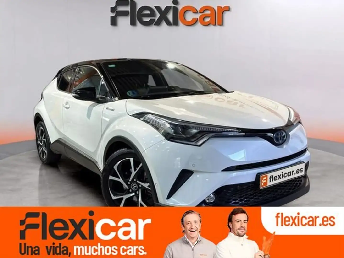 Toyota C-HR 125H Dynamic Plus Blanco - 1