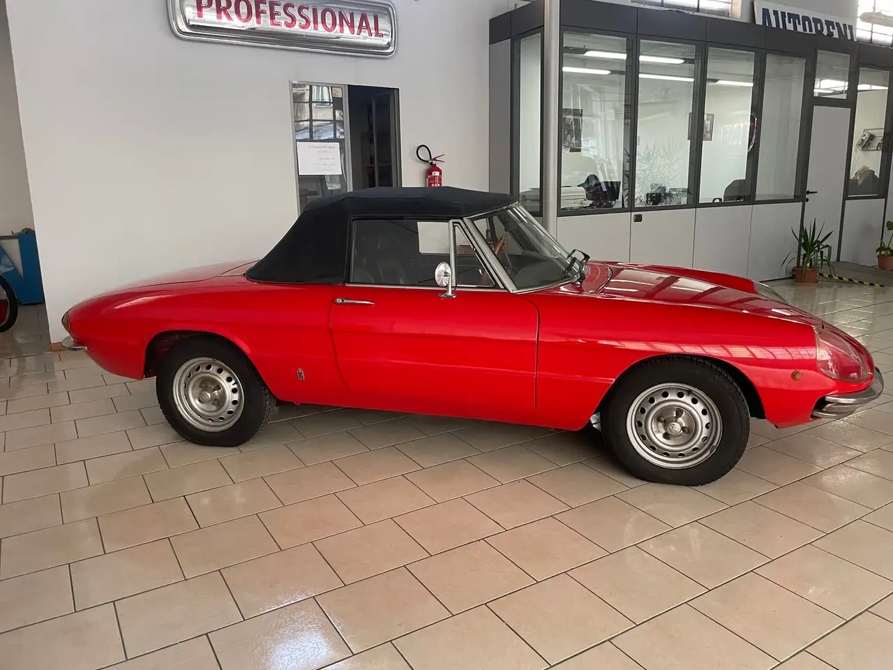Alfa Romeo Spider 1750 DUETTO OSSO DI SEPPIA, foto 12