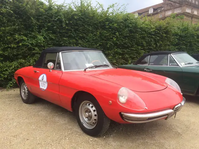 Alfa Romeo Spider 1750 DUETTO OSSO DI SEPPIA