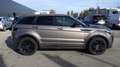 Land Rover Range Rover Evoque (Stock ID 36522) Bruin - thumbnail 16