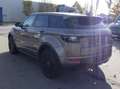 Land Rover Range Rover Evoque (Stock ID 36522) Bruin - thumbnail 5