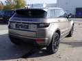 Land Rover Range Rover Evoque (Stock ID 36522) Bruin - thumbnail 7