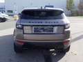Land Rover Range Rover Evoque (Stock ID 36522) Bruin - thumbnail 6