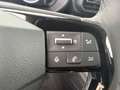 Fiat Doblo M 360 1.5 BlueHDI 130 S&S 6-Gang Grün - thumbnail 34