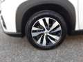 Suzuki S-Cross 1.4 GLX 2WD 129PS Bílá - thumbnail 5