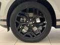 Land Rover Range Rover Evoque 2.0D 150 CV AWD Auto SE AUTOCARRO + IVA Gris - thumbnail 9