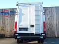 Iveco Daily 35C12 2.3 HPi L3H2 AHK 85KW Euro 3 Wit - thumbnail 7