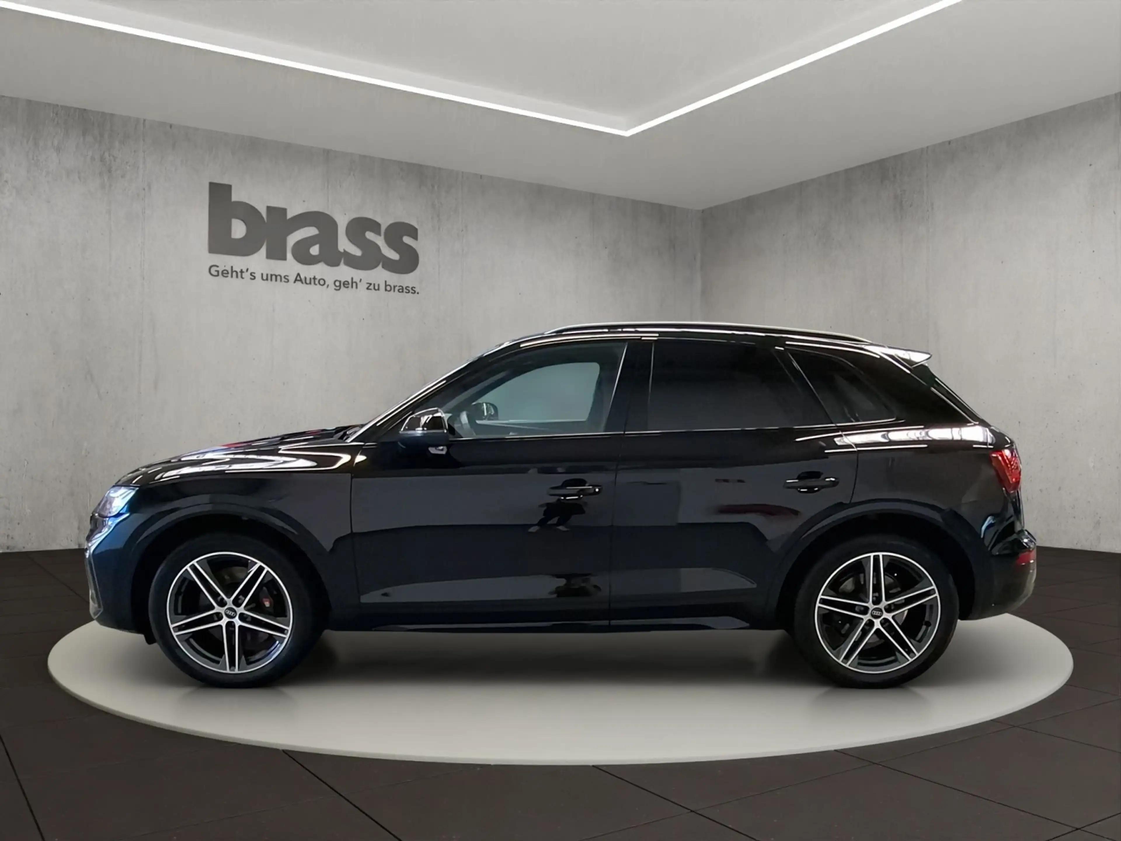 Audi SQ5 SUV TDI 251(341) kW(PS) tiptronic — photo 2