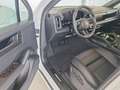 Porsche Cayenne E-Hybrid Black Edition Weiß - thumbnail 10