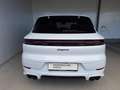Porsche Cayenne E-Hybrid Black Edition Weiß - thumbnail 9