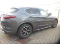 Alfa Romeo Stelvio Stelvio 2.2 t Executive Q4 190cv auto my19 Grigio - thumbnail 8