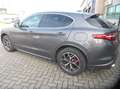 Alfa Romeo Stelvio Stelvio 2.2 t Executive Q4 190cv auto my19 Grigio - thumbnail 7