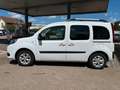Renault Kangoo Limited *AHK/PDC/Bluetooth* Weiß - thumbnail 3