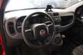Fiat Panda VAN 1.0 HYBRID POP 70 CV Rosso - thumbnail 5