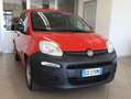 Fiat Panda VAN 1.0 HYBRID POP 70 CV Rosso - thumbnail 2
