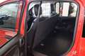 Fiat Panda VAN 1.0 HYBRID POP 70 CV Rosso - thumbnail 8