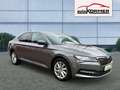 Skoda Superb 2.0 TSI 4x4 DSG Style el.Sitze,CarPlay,Virtual,DAB Grau - thumbnail 1
