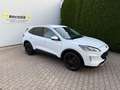 Ford Kuga 1.5 EcoBlue Aut. TITANIUM - thumbnail 3