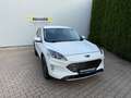 Ford Kuga 1.5 EcoBlue Aut. TITANIUM - thumbnail 2