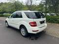 Mercedes-Benz ML 350 ML 350 CDI 4Matic (164.125) TÜV NEU Weiß - thumbnail 7