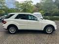 Mercedes-Benz ML 350 ML 350 CDI 4Matic (164.125) TÜV NEU Weiß - thumbnail 4