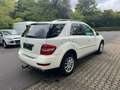 Mercedes-Benz ML 350 ML 350 CDI 4Matic (164.125) TÜV NEU Weiß - thumbnail 5