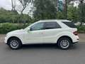 Mercedes-Benz ML 350 ML 350 CDI 4Matic (164.125) TÜV NEU Weiß - thumbnail 8